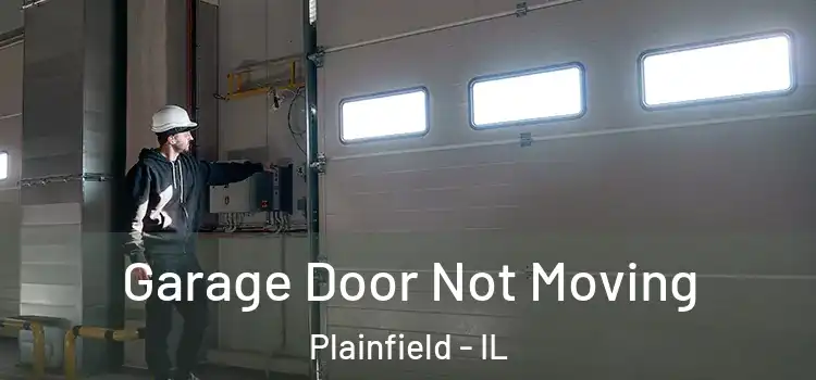  Garage Door Not Moving Plainfield - IL