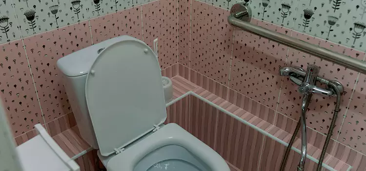 Meeting Diverse Needs With Accessible Restroom Solutions in Plainfield, IL
