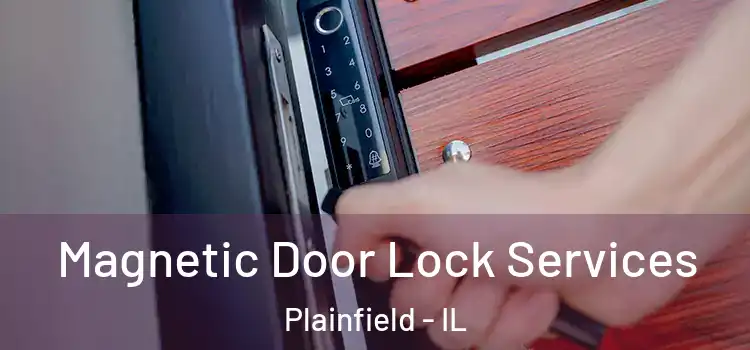Magnetic Door Lock Services Plainfield - IL